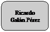 Rectángulo redondeado: Ricardo Galán Pérez
